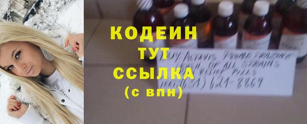 индика Абинск