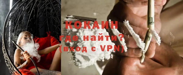 индика Абинск